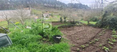 House in San Cibrao Das Viñas photo 6