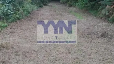 Nave industrial en venta en Neda - Más