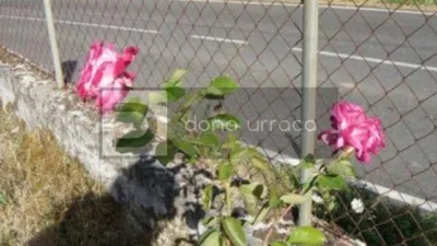 Casa en venta en Ourense, Boborás de 20.000 €