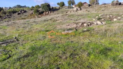 Rustic farm in Ourense photo 11