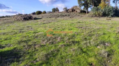 Rustic farm in Ourense photo 12