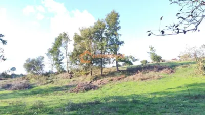 Rustic farm in Ourense photo 9