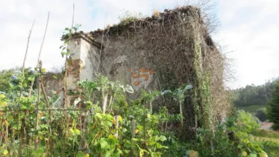 Casa en Cariño photo 3