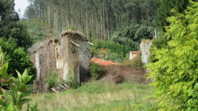 Casa en Cariño photo 4