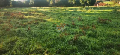 Casa – Valdoviño, Poulo, O Graño - Vista 4