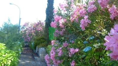 Chalet in Carballiño (O) photo 16