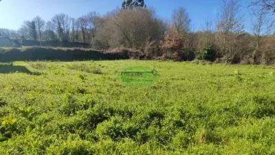 Stone house with land for sale in the Xinzo area. With just over 280m², we find this stone property located 5km from the centre of Xinzo de Limia, distributed over two floors and with a plot of 700m². Ground floor: We have two independent units totalling 182m², one of which serves as a garage and features internal stairs leading to the upper floor of the house. Main floor: Accessible also from the exterior, this level offers just over 100m² with 3 bedrooms, 1 bathroom, living room and kitchen. The aforementioned property includes a well and sheds previously used for farming tools and livestock. The house requires minor updating. The property is registered, facilitating future mortgage approval. View this and other properties on our website. photo 10