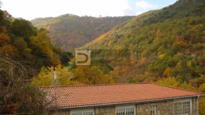 Apartment in Nogueira de Ramuín photo 10