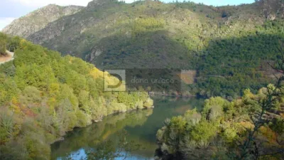 Apartment in Nogueira de Ramuín photo 9
