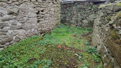 House in San Cristovo de Cea photo 9
