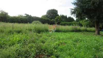 Rustic farm in Ferrol photo 2
