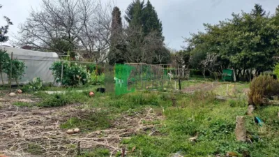 House in Coles photo 46