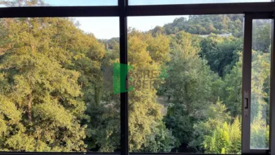 Chalet in Pereiro de Aguiar (O) photo 15