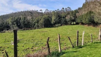 House in Cerdido photo 14
