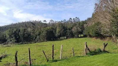 House in Cerdido photo 15