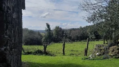 House in Cerdido photo 46
