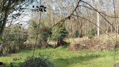 House in Cerdido photo 48