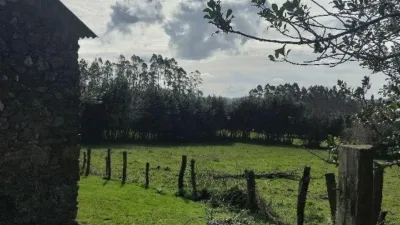 House in Cerdido photo 49