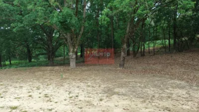 Chalet in Pereiro de Aguiar (O) photo 55