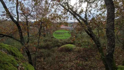 Rustic farm in Taboadela photo 3