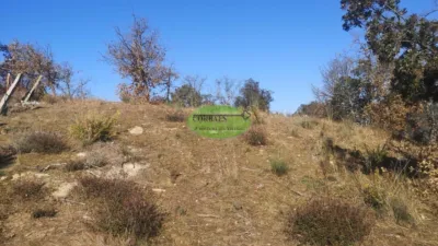 Terreno en venta en Ourense, Seixalbo-Monte-Ceboliño-Velle (Ourense Capital) de 370.000 €