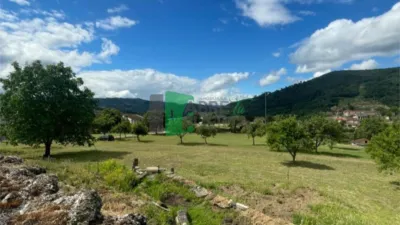 Chalet in Ribadavia photo 15