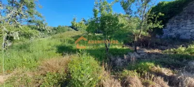 House in Bola (A) photo 6