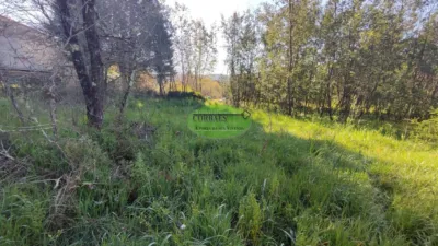 Rustic Farm in Coles photo 3