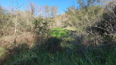 Rustic Farm in Coles photo 4