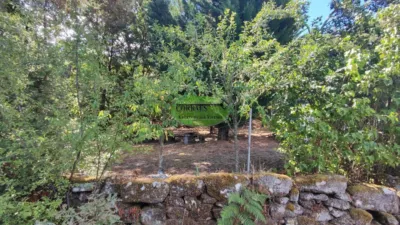 Rustic farm in Pereiro de Aguiar (O) photo 6