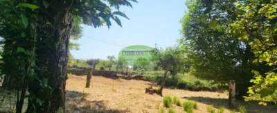 House in San Cristovo de Cea photo 19