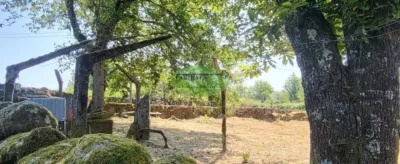 House in San Cristovo de Cea photo 20
