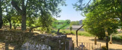 House in San Cristovo de Cea photo 16