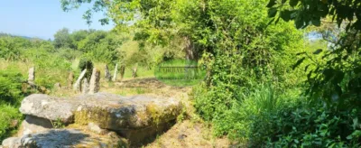 House in San Cristovo de Cea photo 17