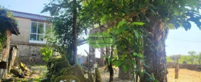 House in San Cristovo de Cea photo 4