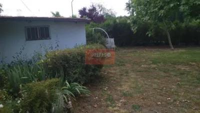 Chalet en Pereiro de Aguiar (O) photo 32