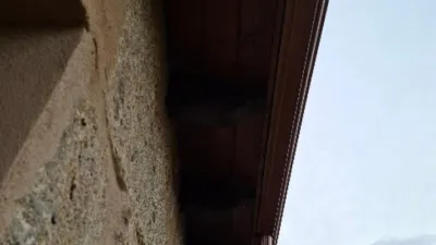 House in San Cibrao das Viñas photo 3