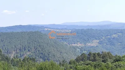House in Leiro photo 39