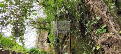 House in Moaña photo 8