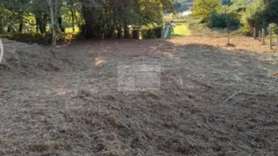 Rustic Finca in Cangas photo 4