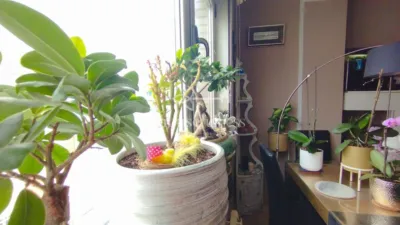 Piso en Ultramar photo 28