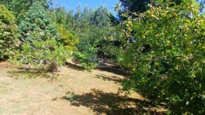 House in San Sadurniño photo 44