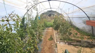 Terreno en venta en Ferrol - Vista 5
