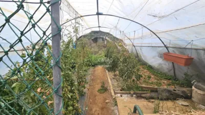 Terreno en venta en Ferrol - Más