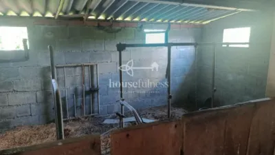 House in Moeche photo 37