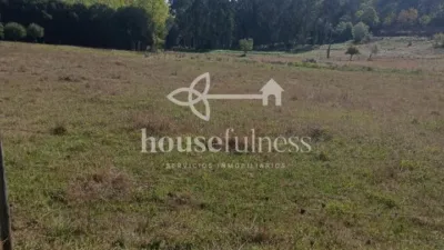 House in Moeche photo 41
