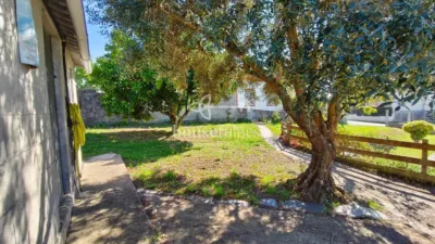 Chalet in Fene photo 3