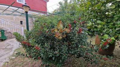 House in Cartelle photo 92
