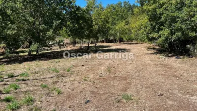 House in San Cristovo de Cea photo 15
