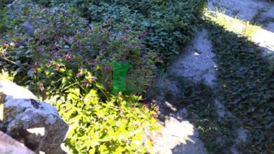 House in Esgos photo 48